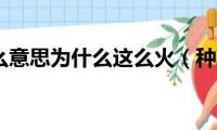 种草是什么意思为什么这么火（种草是什么意思）