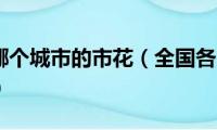 君子兰是哪个城市的市花（全国各大城市市花各是什么）