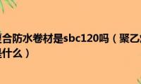 聚乙烯丙纶复合防水卷材是sbc120吗（聚乙烯丙纶复合防水卷材代号是什么）