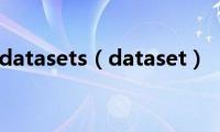 datasets（dataset）