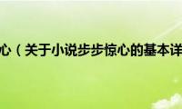 小说步步惊心（关于小说步步惊心的基本详情介绍）