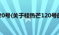 桂热芒120号(关于桂热芒120号的简介)