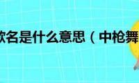 中枪舞的歌名是什么意思（中枪舞的歌名是什么）