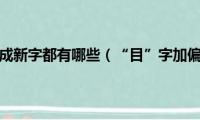 目字加偏旁组成新字都有哪些（“目”字加偏旁组成新字并组词）