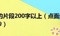 点面结合的片段200字以上（点面结合的片段200字摘抄）