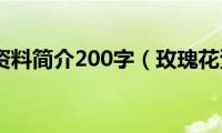 玫瑰花资料简介200字（玫瑰花资料）