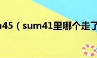 sum45（sum41里哪个走了）