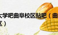 曲阜师范大学吧曲阜校区贴吧（曲阜师范大学有几个校区）