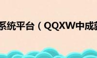 积分管理系统平台（QQXW中成就的积分有什么用）