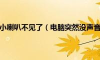 电脑没有声音小喇叭不见了（电脑突然没声音小喇叭没有波动）