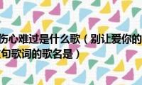 别让爱你的人伤心难过是什么歌（别让爱你的人流泪,别让你爱的人心碎,这句歌词的歌名是）