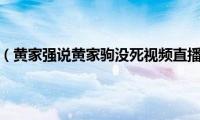 黄家强谈家驹（黄家强说黄家驹没死视频直播黄家强说黄家驹没死）