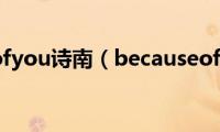 becauseofyou诗南（becauseofyou什么意思）