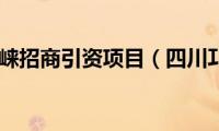 四川邛崃招商引资项目（四川邛崃）