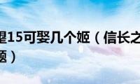 信长之野望15可娶几个姬（信长之野望12PK关于姬问题）