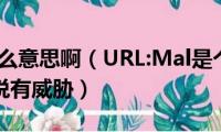 url码是什么意思啊（URL:Mal是个什么(东西一下载就说有威胁）)