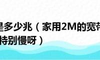 宽带2m是多少兆（家用2M的宽带网速为什么有时候特别慢呀）