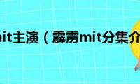 霹雳mit主演（霹雳mit分集介绍）