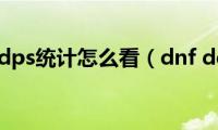 dnf(dps统计怎么看（dnf dg）)