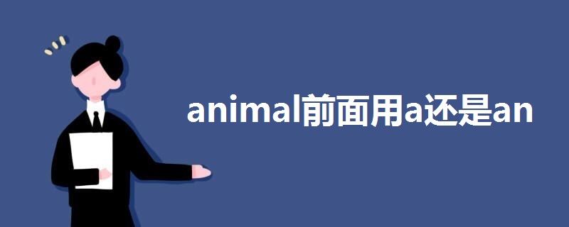 animal前面用a还是an