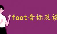 foot音标及读音